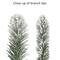 7.5ft. Pre-Lit Flocked Portland Pine Artificial Pencil Tree, Multicolor Lights